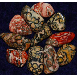 Tumble Rhyolite Leopardskin  Tumble Rhyolite Leopardskin